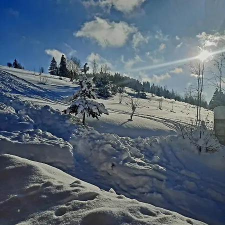 Kojsowka * Witow (Tatra)