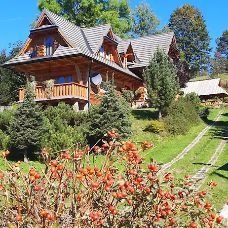 Płazówka Chalé *