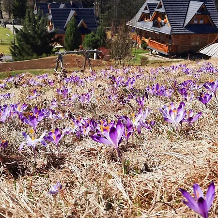 Chalet Kojsowka *