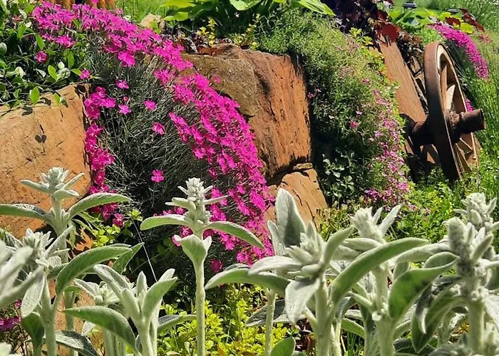 בקתה Kojsowka Witów